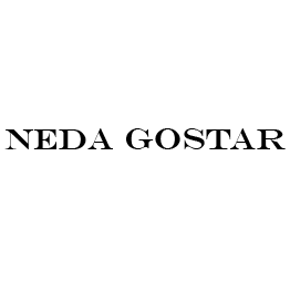 پاناسونیک 